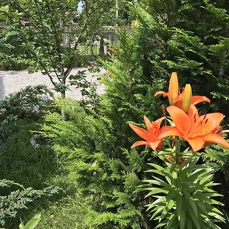 Near The Airport Sarajevo